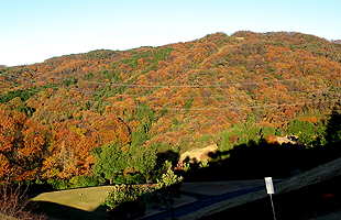 コース風景